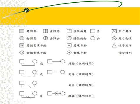 家庭圖關係線|免費可編輯家系圖範例與模板 